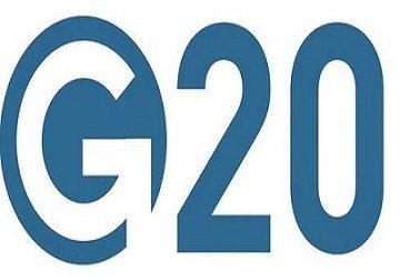 G20中仅中国实现经济正增长